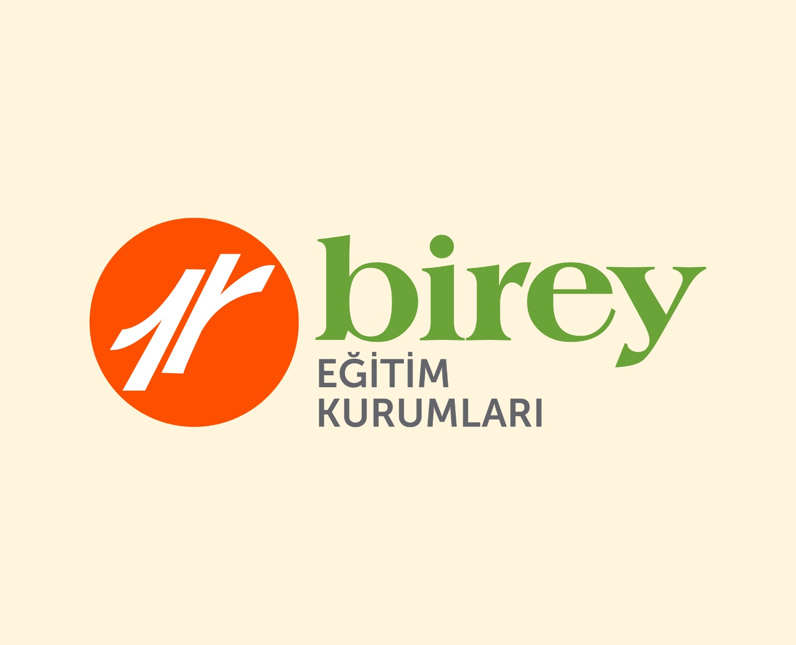 Kadıköy Birey Anadolu Lisesi proje logosu