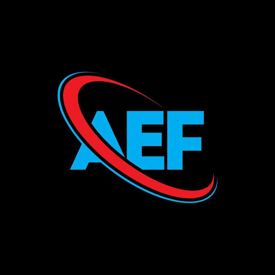 AEF GRUP DIŞ TİCARET LTD. ŞTİ. referans logosu