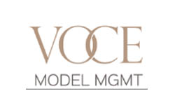 Voce referans logosu